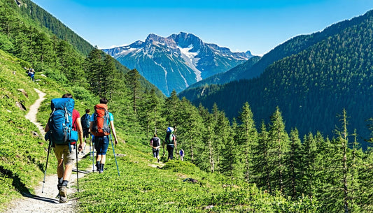 Essential Tips for Hiking with Your Dog: Gear Up with NexaPaw!