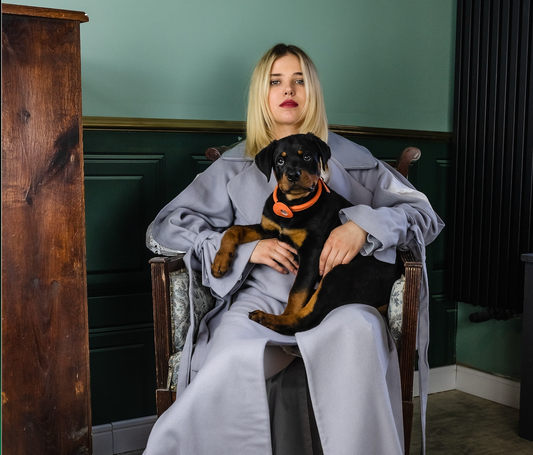 Don't be deceived. The three questions for a 'luxury' leather dog collar: