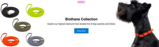Why Choose BioThane® for Your Dog? 🐶