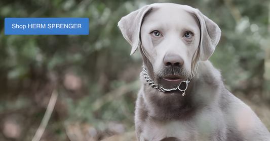 Herm Sprenger Prong Collars: The Ultimate Guide to Safe and Effective Dog Training