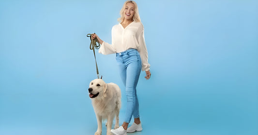 Types of Dog Leashes