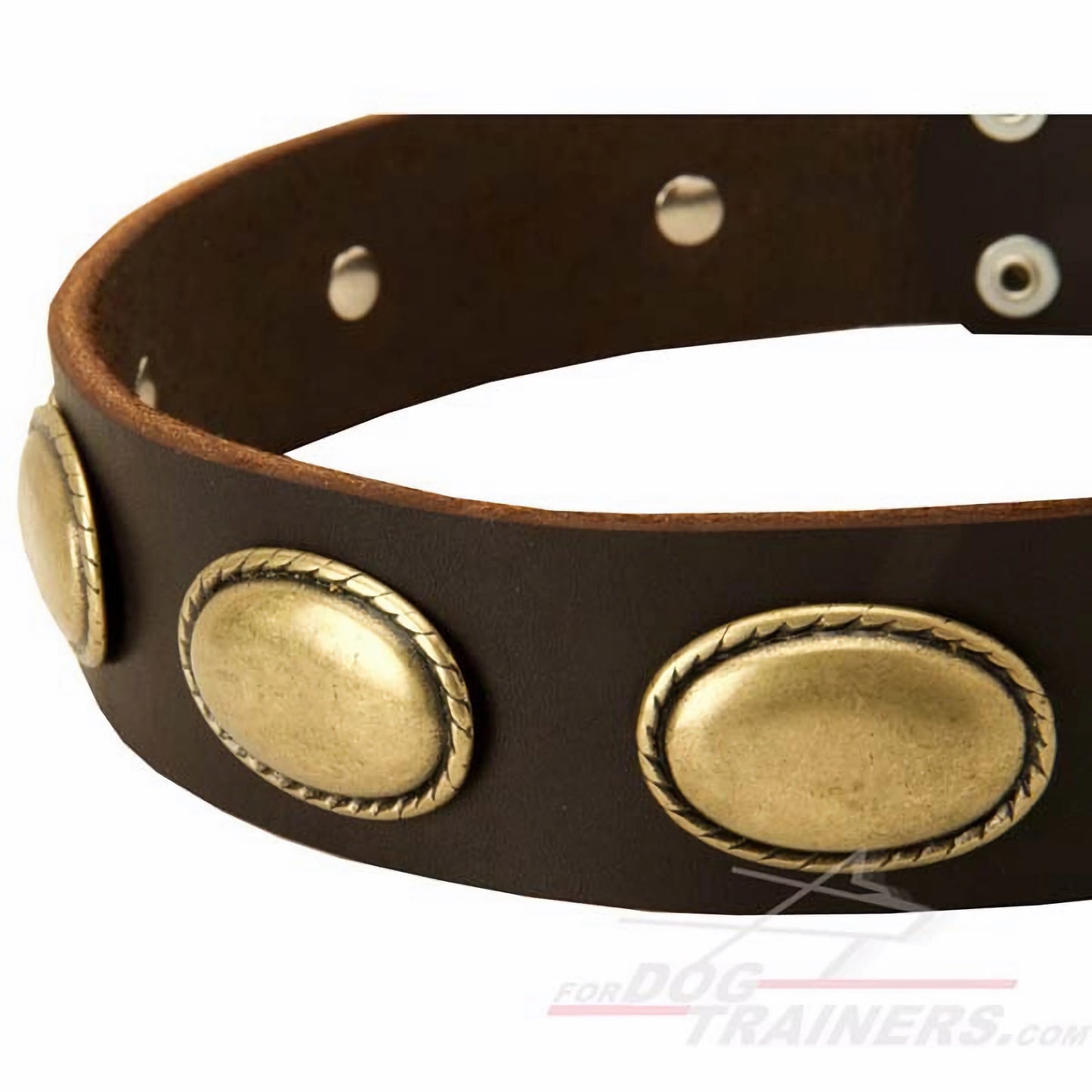 Leather Canine Collar Decorated With Vintage Oval Plates