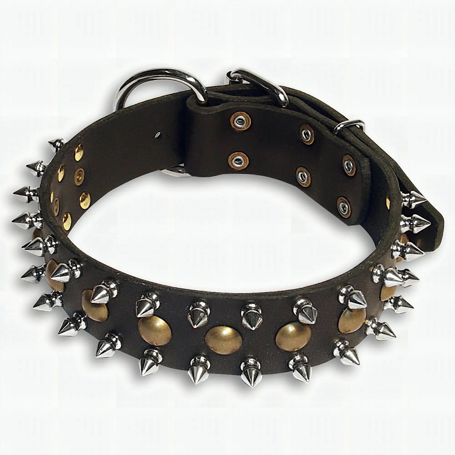 "Catchy Look" Decorated Leather Dog Collar with Spikes and Studs