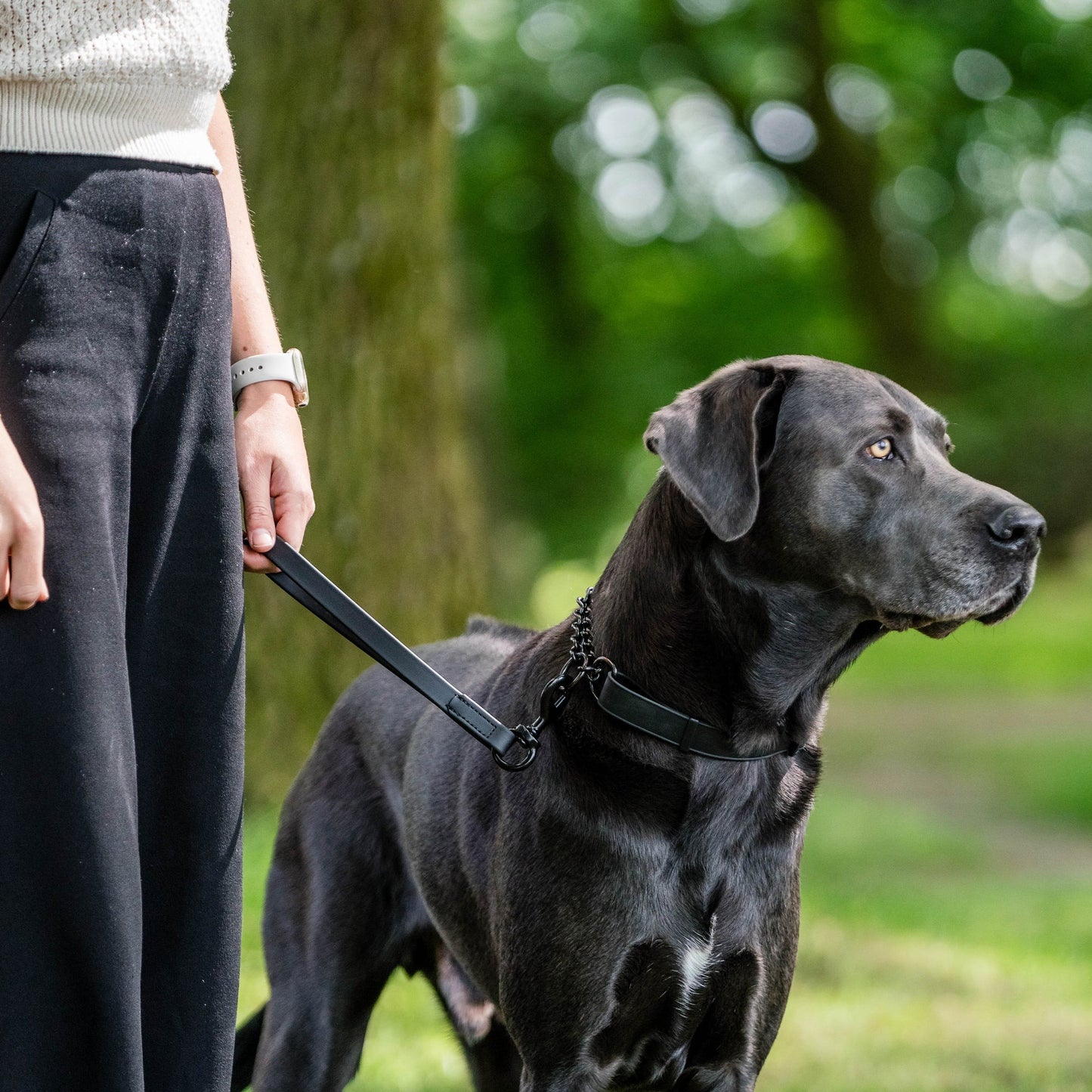 Biothane Waterproof Leash 2 ft