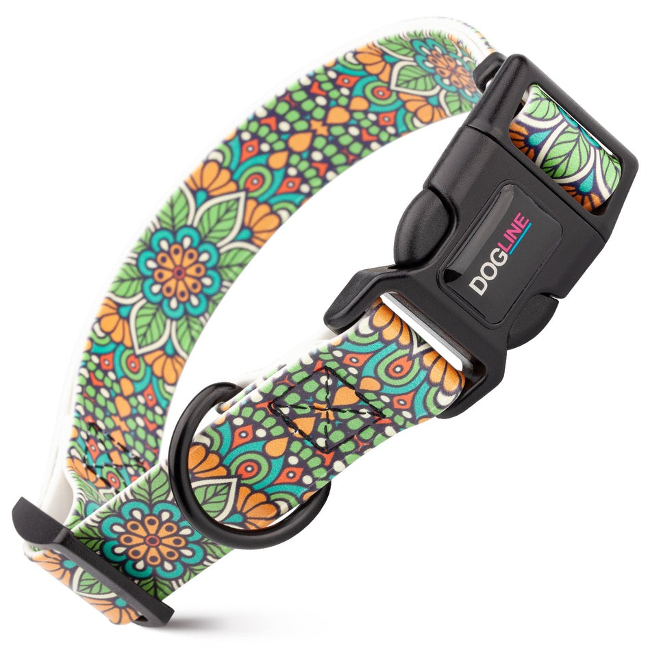 Biothane Quick Release Printed Collar