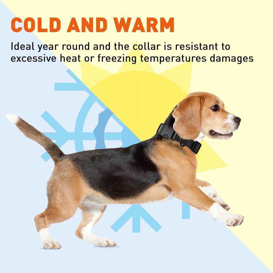 Biothane Quick Release Printed Collar