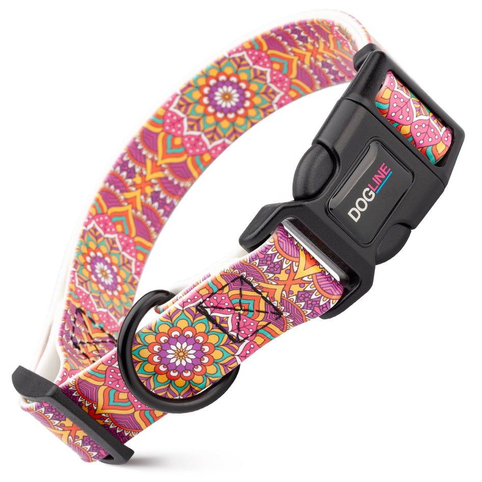 Biothane Quick Release Printed Collar