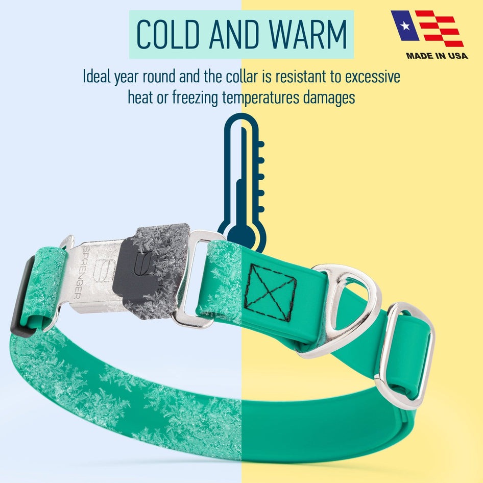 Biothane Waterproof Dog Collar with Herm Sprenger Stainless Steel Quick Release Buckle