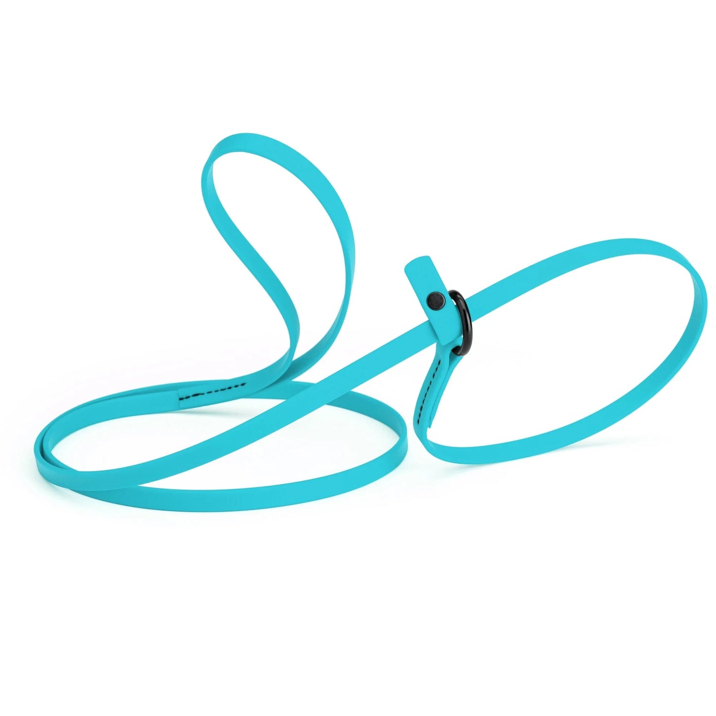 Biothane Waterproof Slip Lead