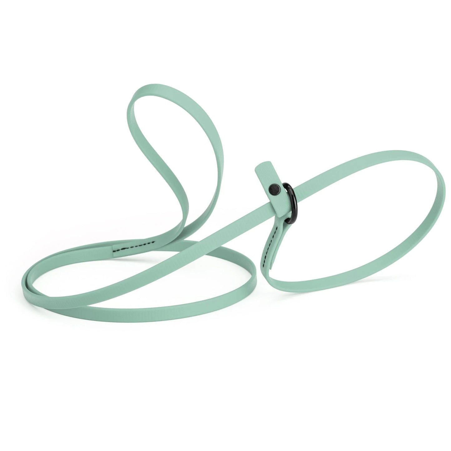 Biothane Waterproof Slip Lead