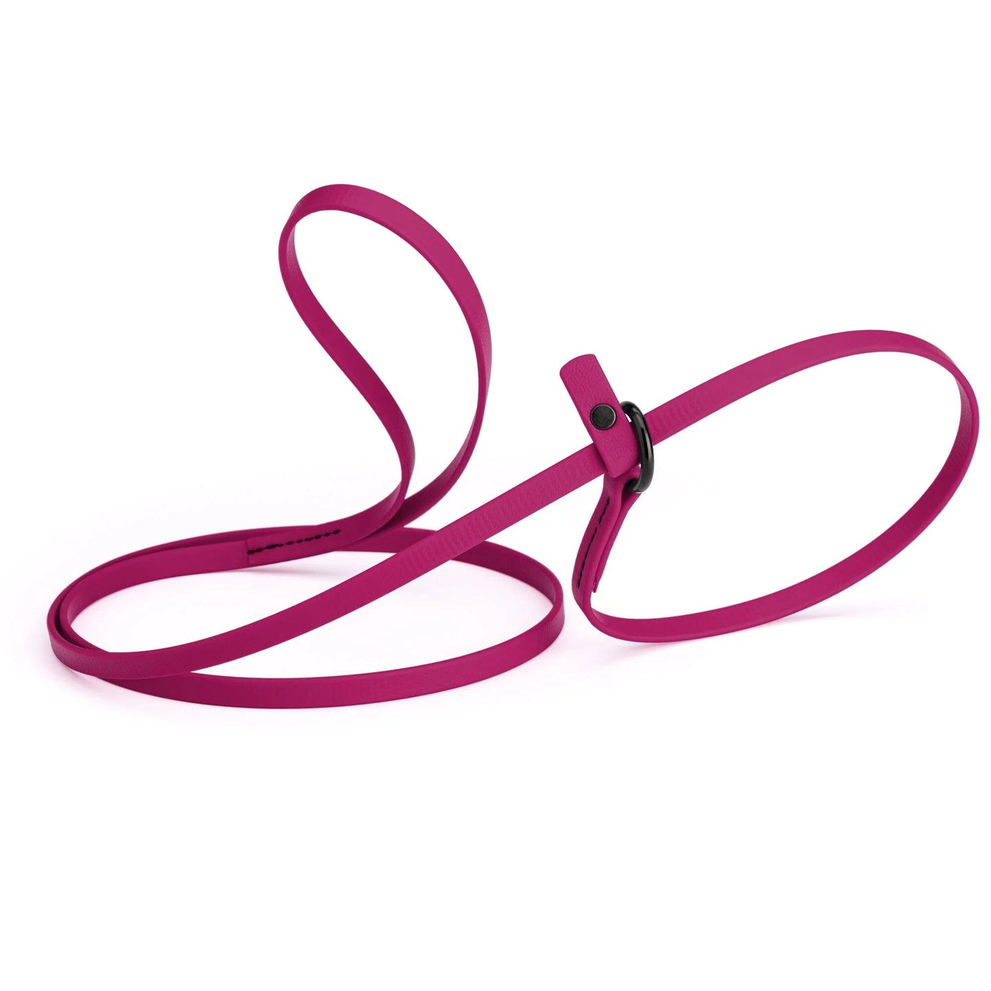 Biothane Waterproof Slip Lead