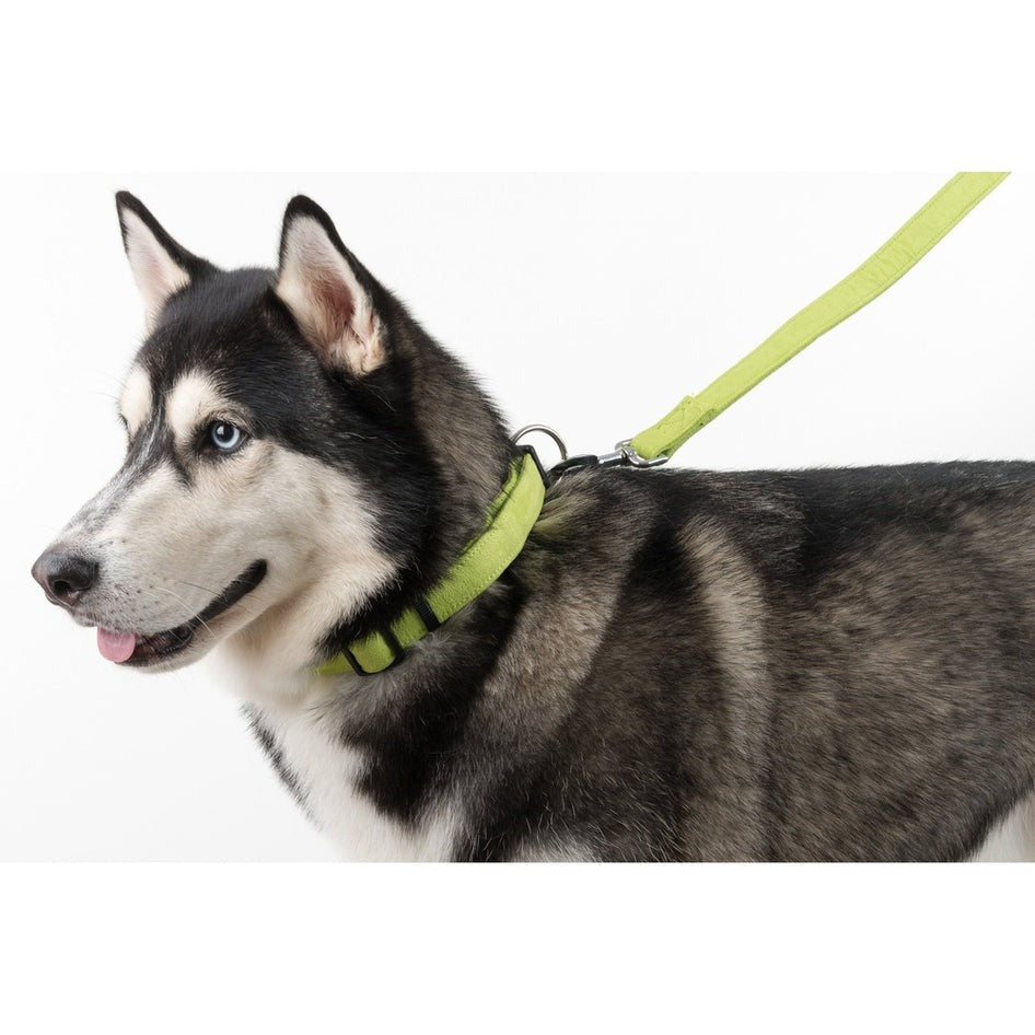 Comfort Microfiber Flat Dog Leash