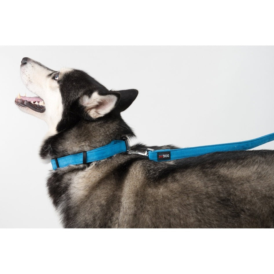 Comfort Microfiber Flat Dog Leash