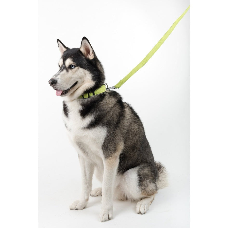 Comfort Microfiber Flat Dog Leash