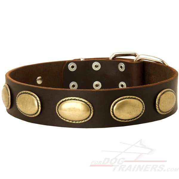 Leather Canine Collar Decorated With Vintage Oval Plates