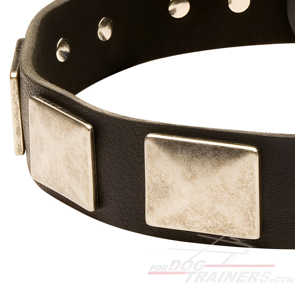 Blast War Leather Dog Collar with Plates