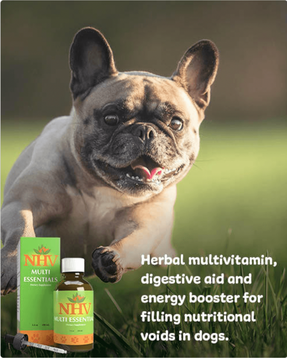Multi Essentials for dogs and cats