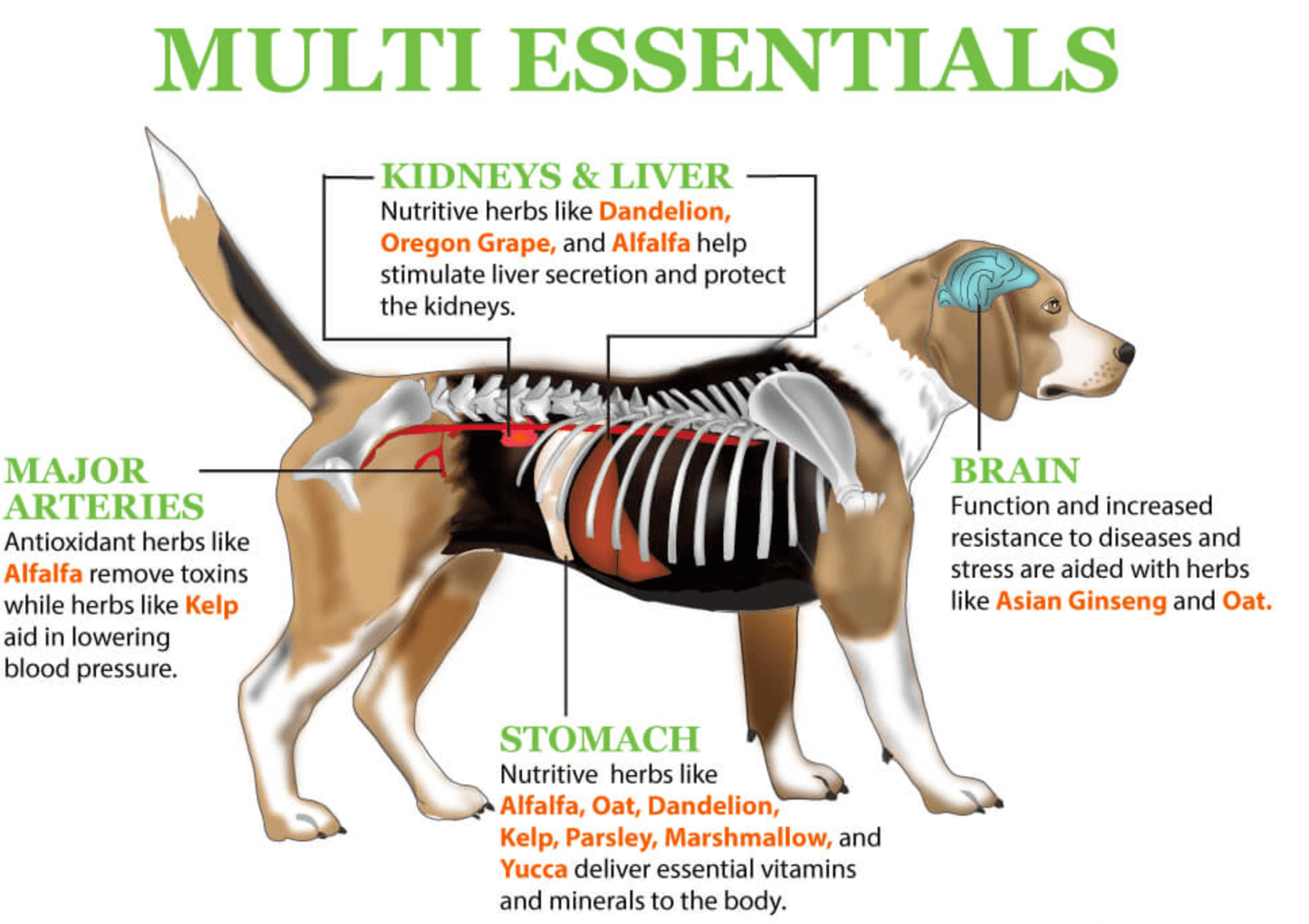 Multi Essentials for dogs and cats