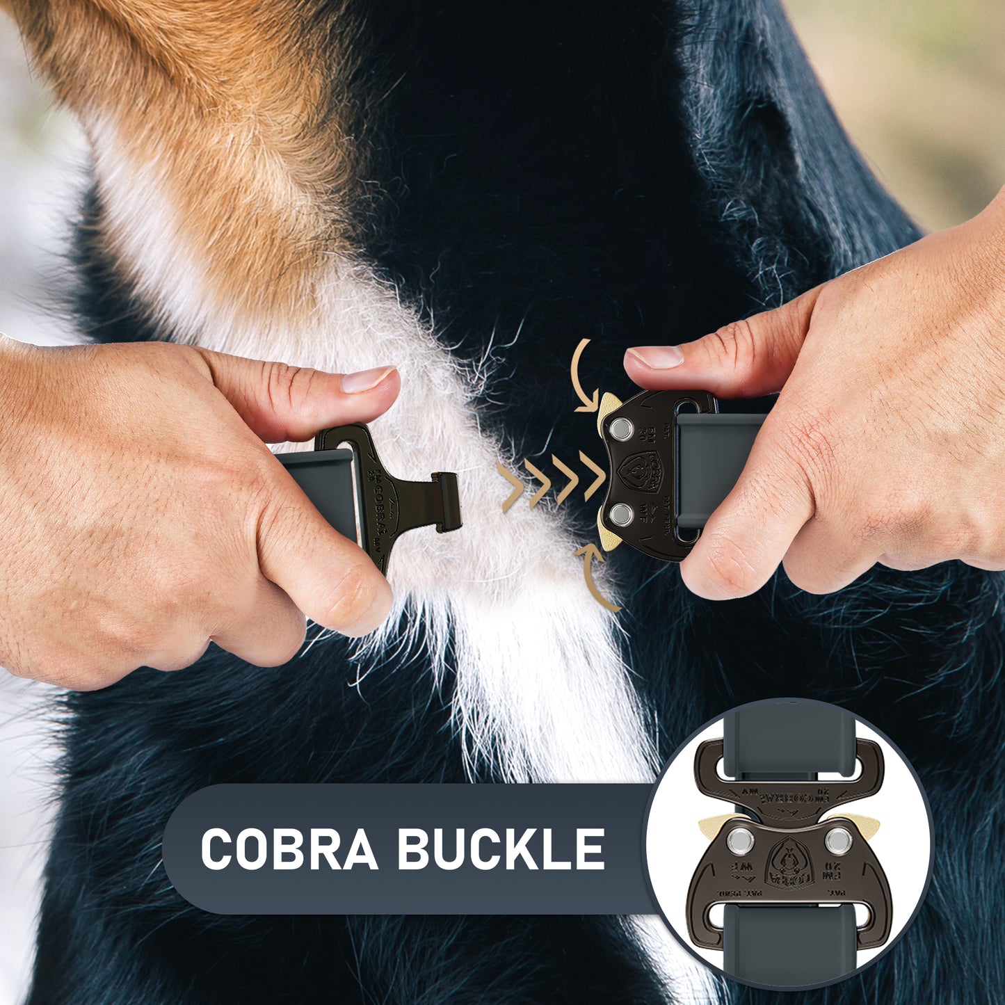NexaPaw Biothane Tactical Cobra Buckle Dog Collar