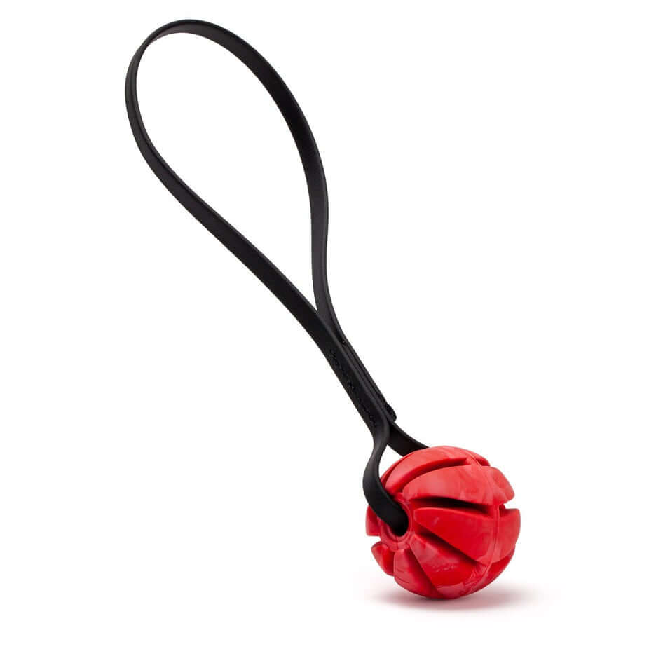 Rubber Spiral Ball Dog Toy with Biothane Handle