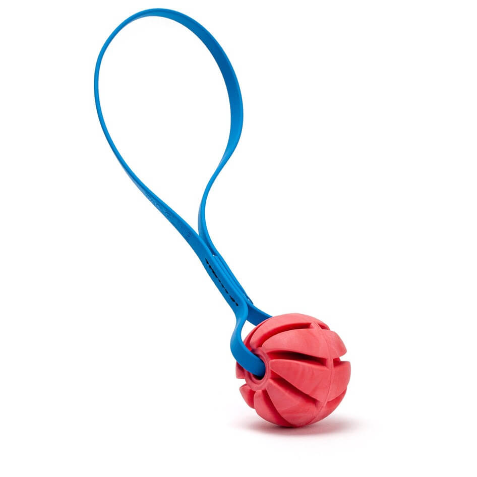 Rubber Spiral Ball Dog Toy with Biothane Handle