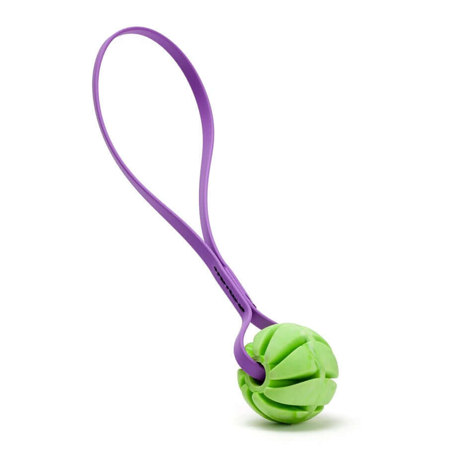 Rubber Spiral Ball Dog Toy with Biothane Handle
