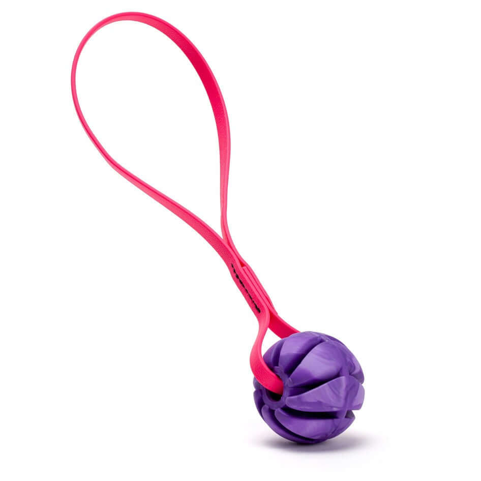Rubber Spiral Ball Dog Toy with Biothane Handle