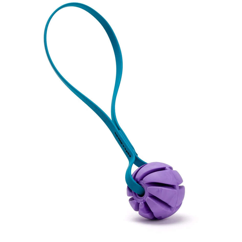 Rubber Spiral Ball Dog Toy with Biothane Handle