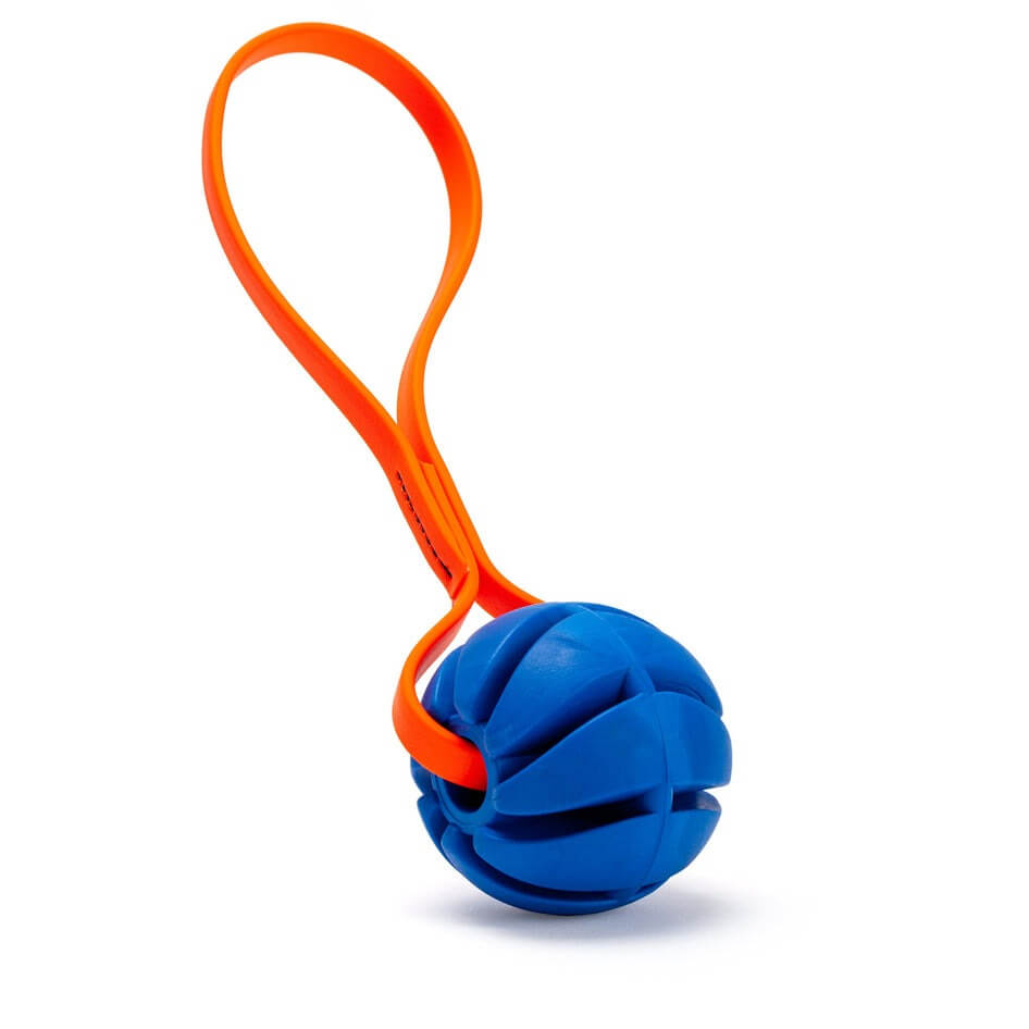 Rubber Spiral Ball Dog Toy with Biothane Handle