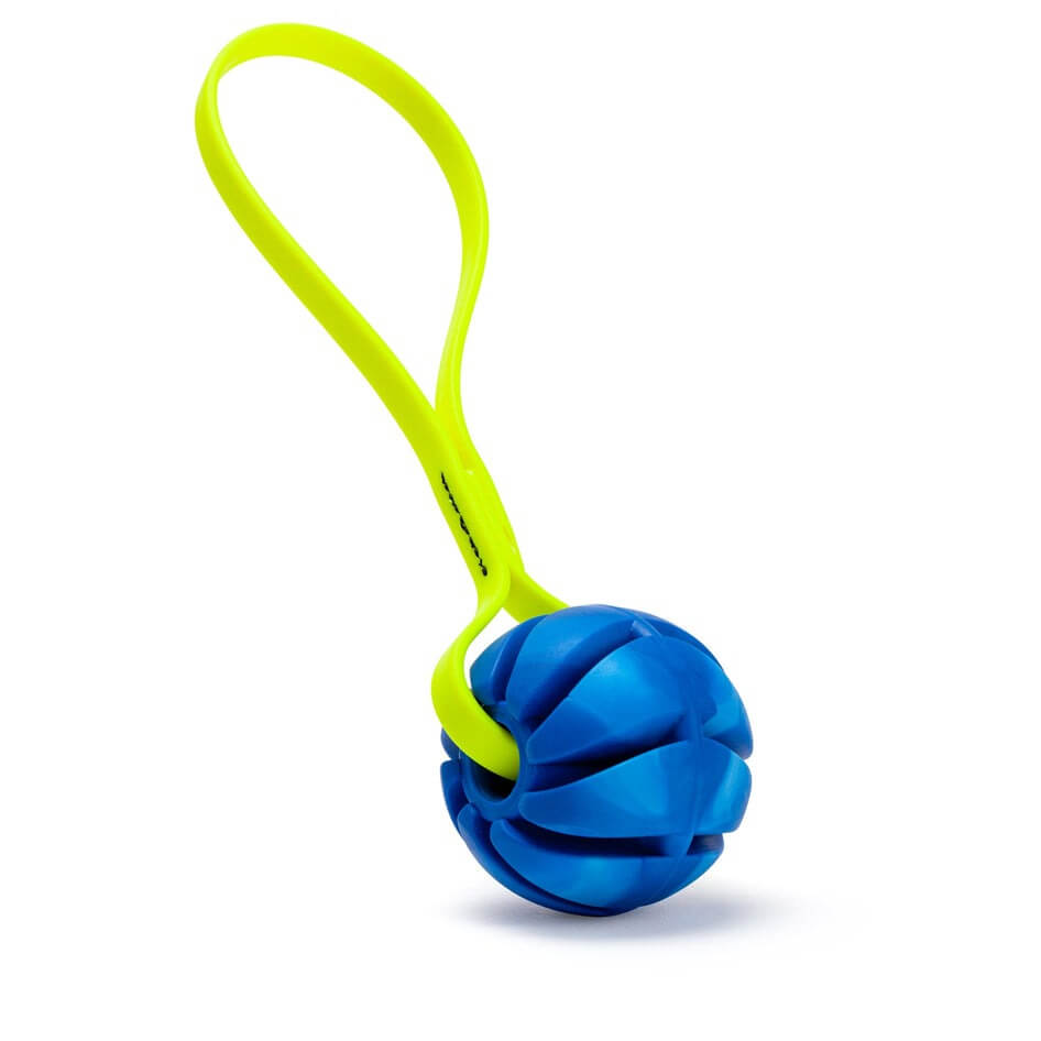 Rubber Spiral Ball Dog Toy with Biothane Handle