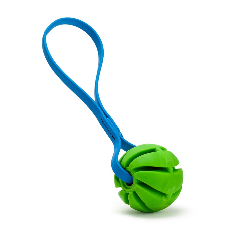 Rubber Spiral Ball Dog Toy with Biothane Handle