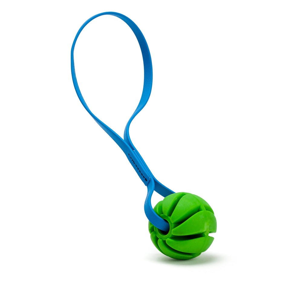 Rubber Spiral Ball Dog Toy with Biothane Handle