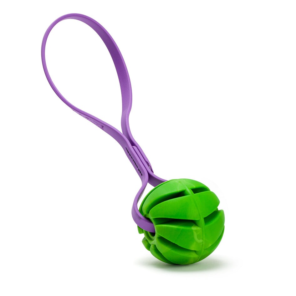 Rubber Spiral Ball Dog Toy with Biothane Handle
