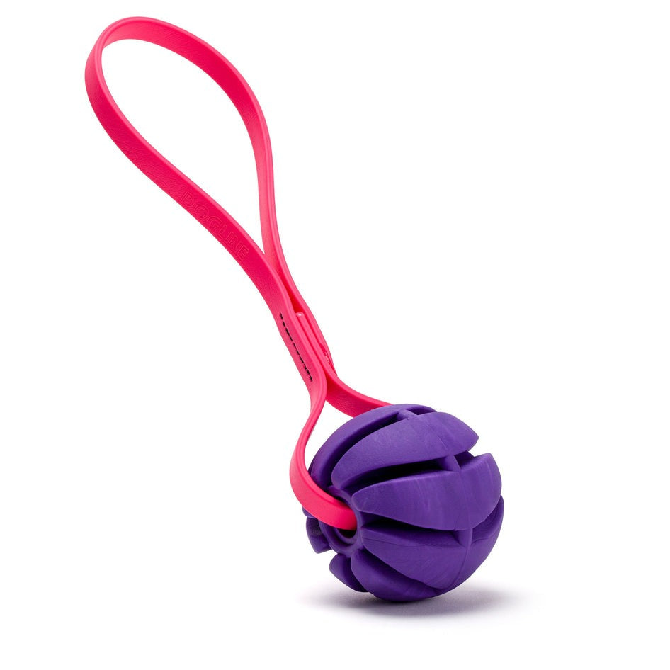 Rubber Spiral Ball Dog Toy with Biothane Handle
