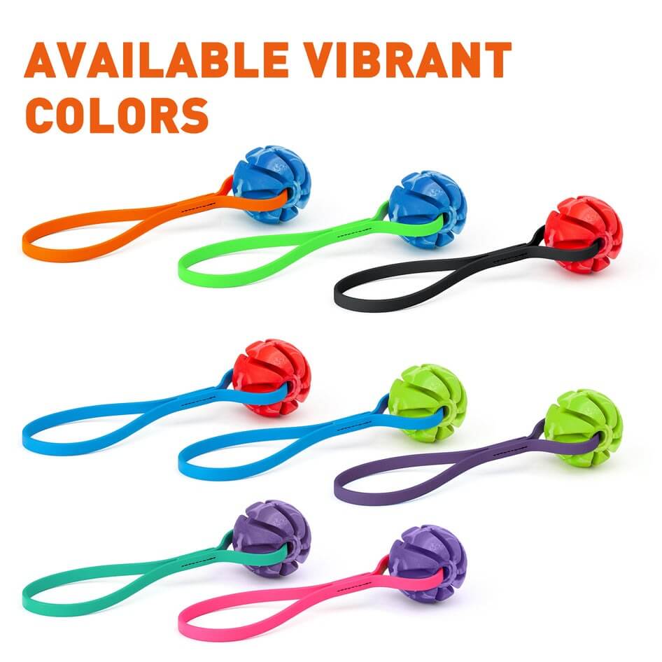 Rubber Spiral Ball Dog Toy with Biothane Handle