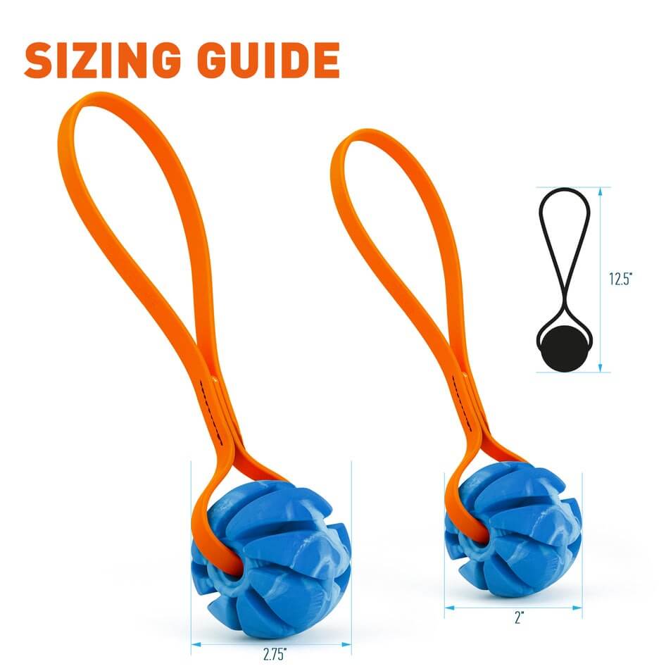 Rubber Spiral Ball Dog Toy with Biothane Handle