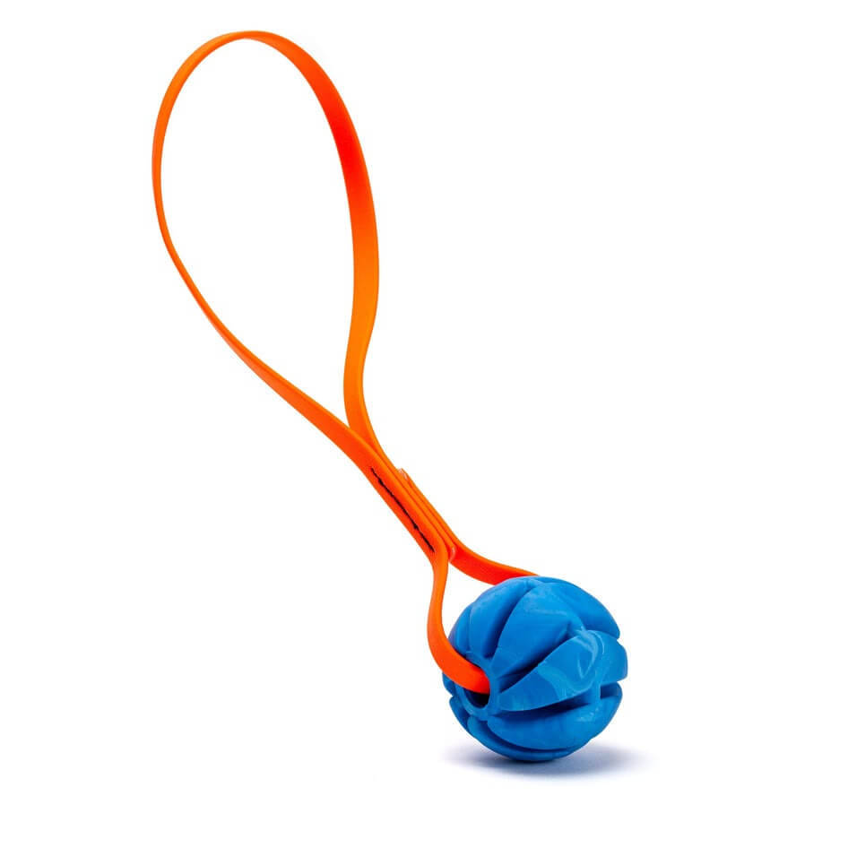 Rubber Spiral Ball Dog Toy with Biothane Handle