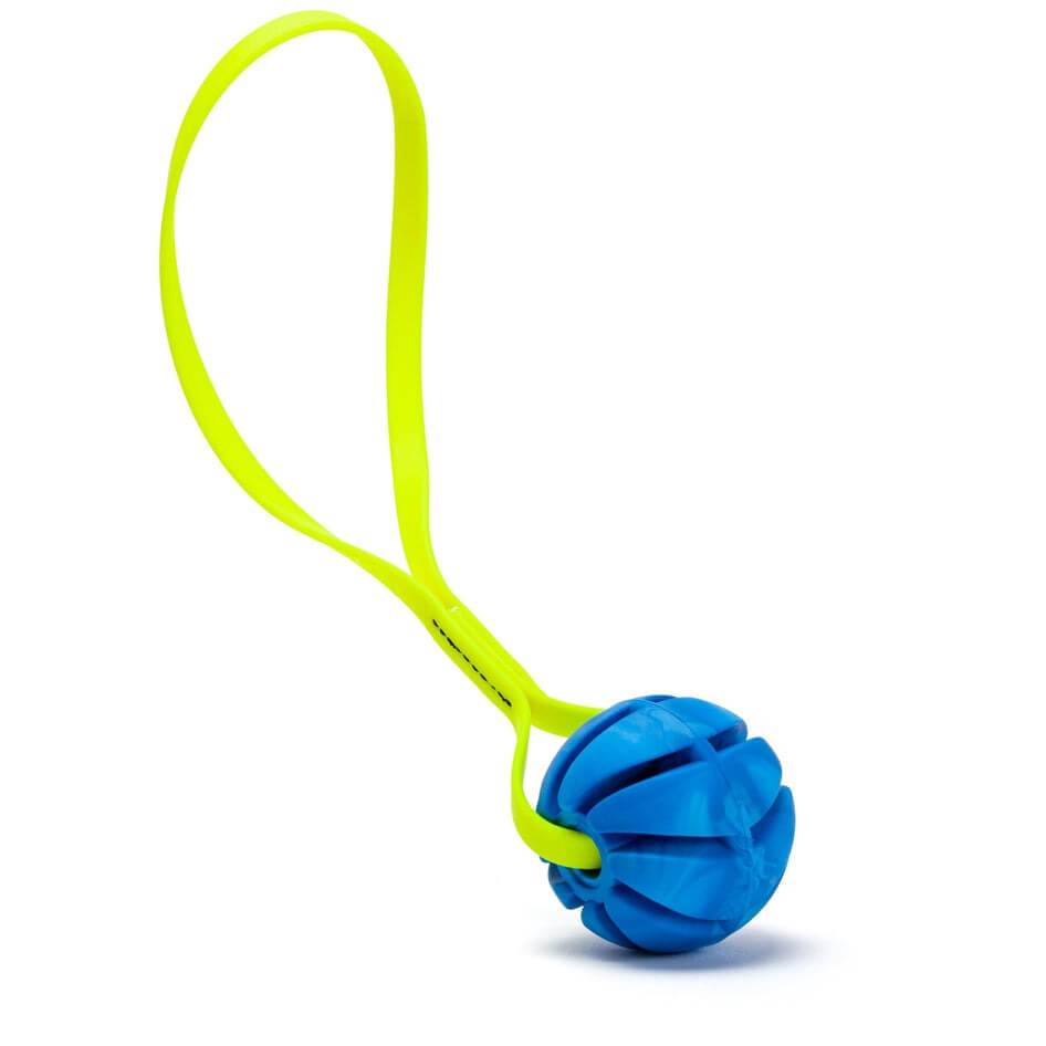 Rubber Spiral Ball Dog Toy with Biothane Handle
