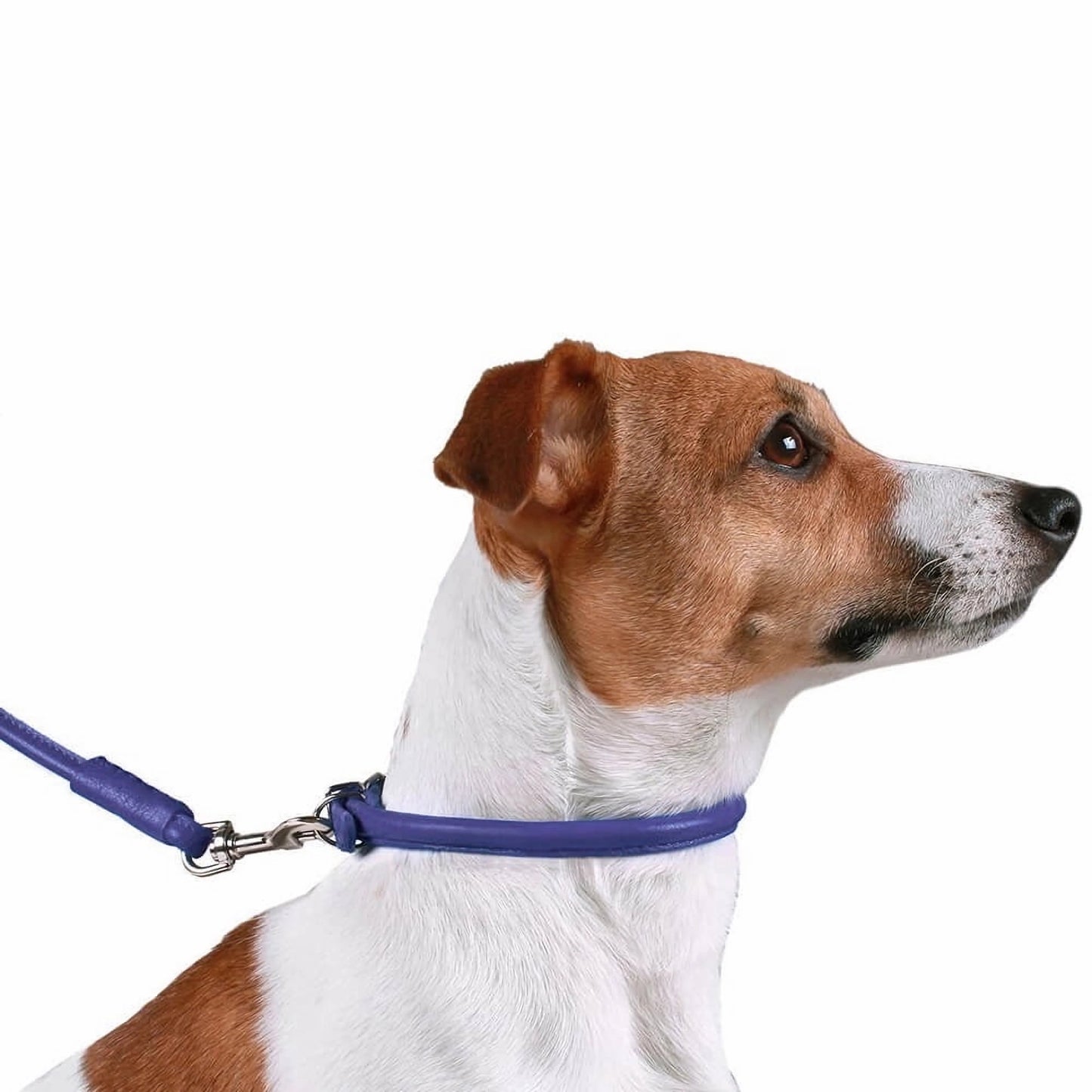 Soft Leather Collar Rolled Round Soft Padded