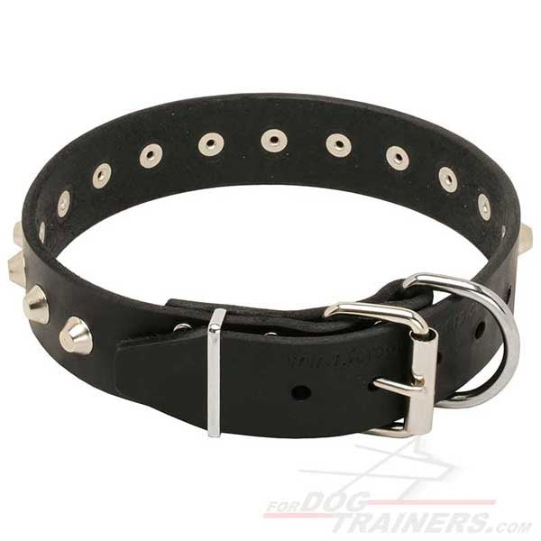 "Daily Elegance" Leather Dog Collar with Nickel-Plated Pyramids