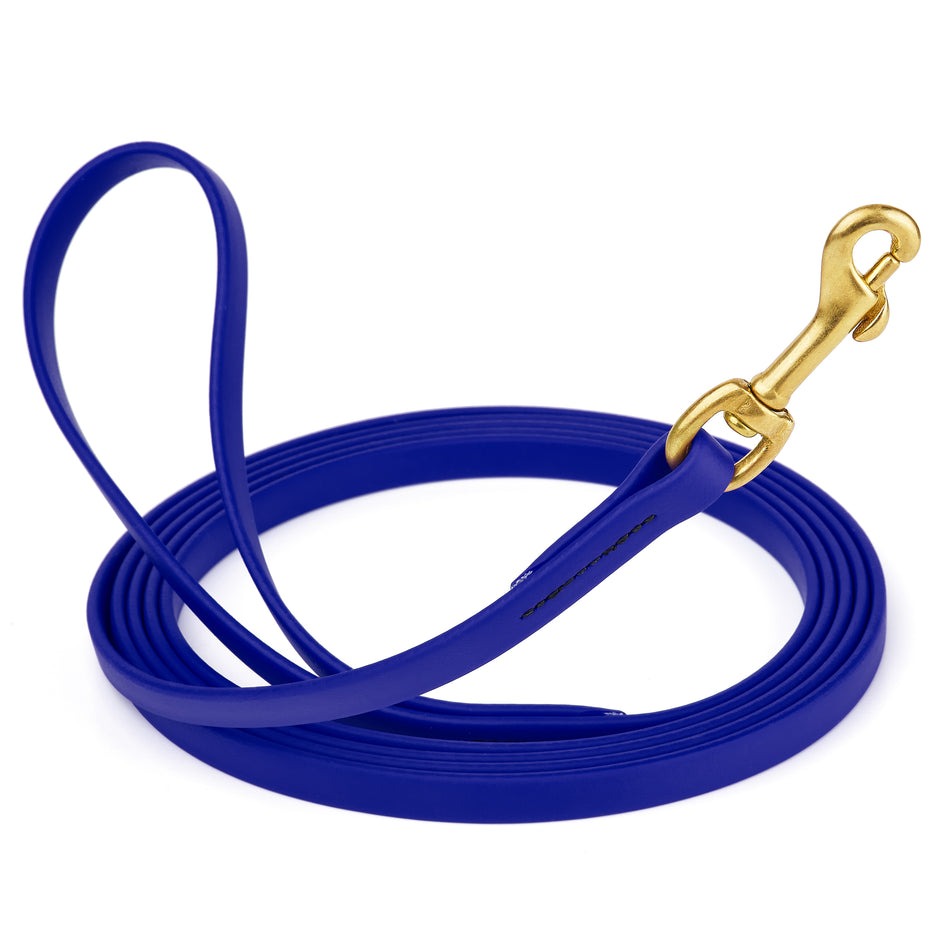 Viper Biothane 10 ft Long Line Lead