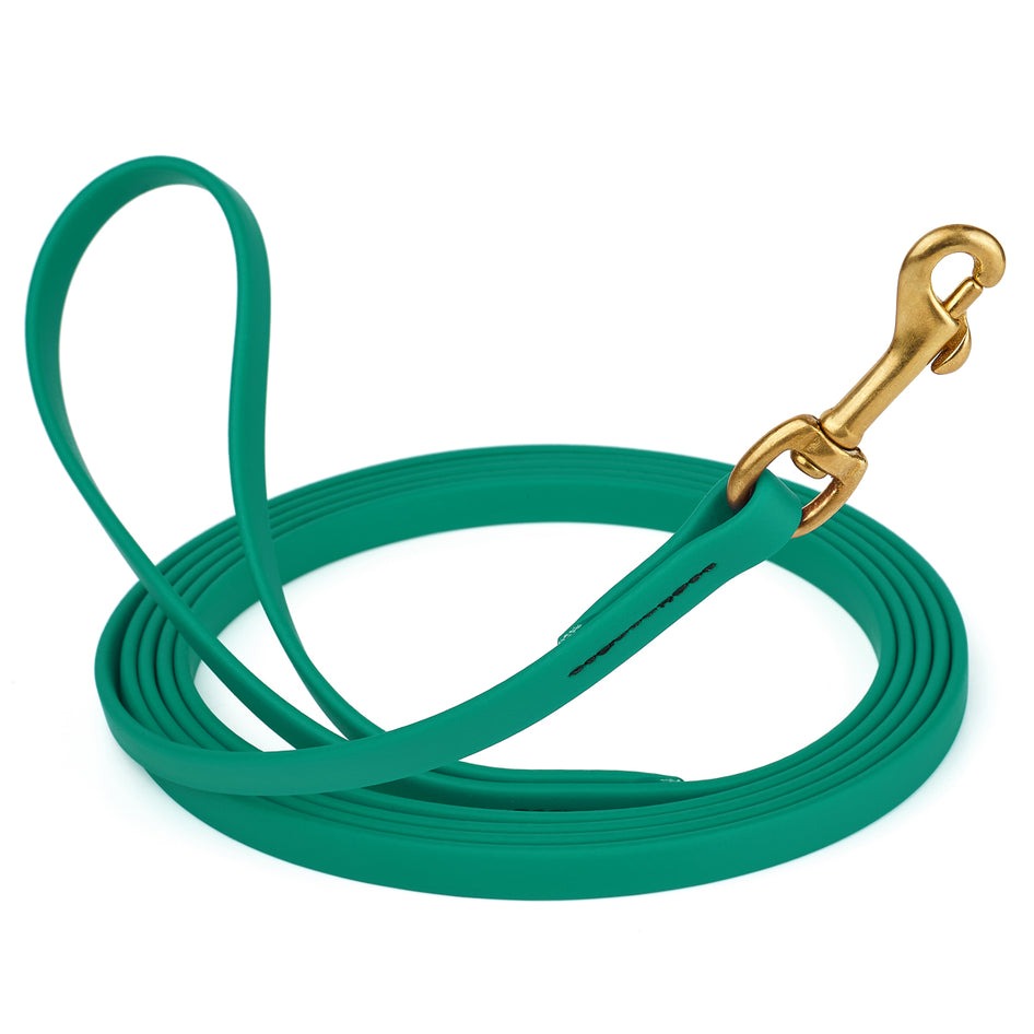 Viper Biothane 10 ft Long Line Lead