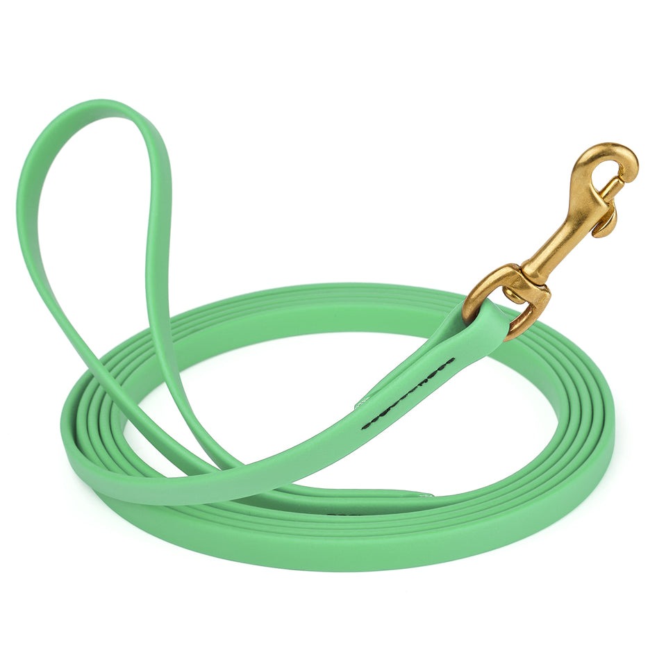 Viper Biothane 10 ft Long Line Lead