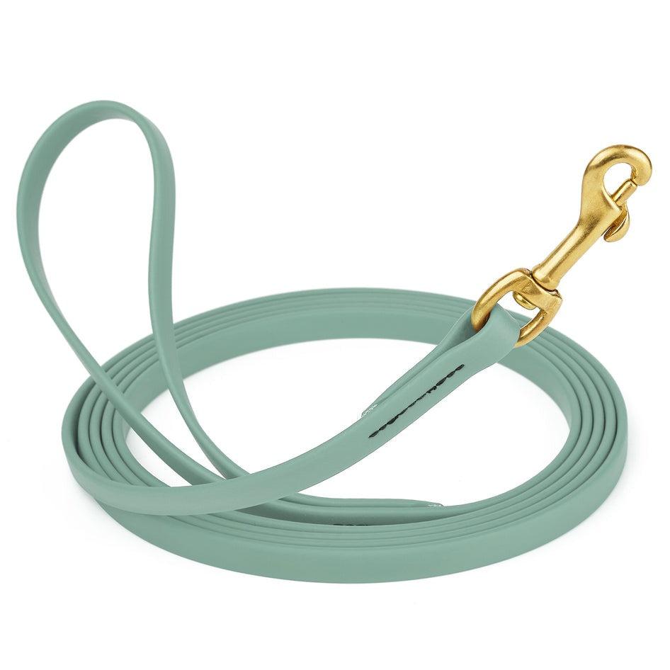 Viper Biothane 10 ft Long Line Lead