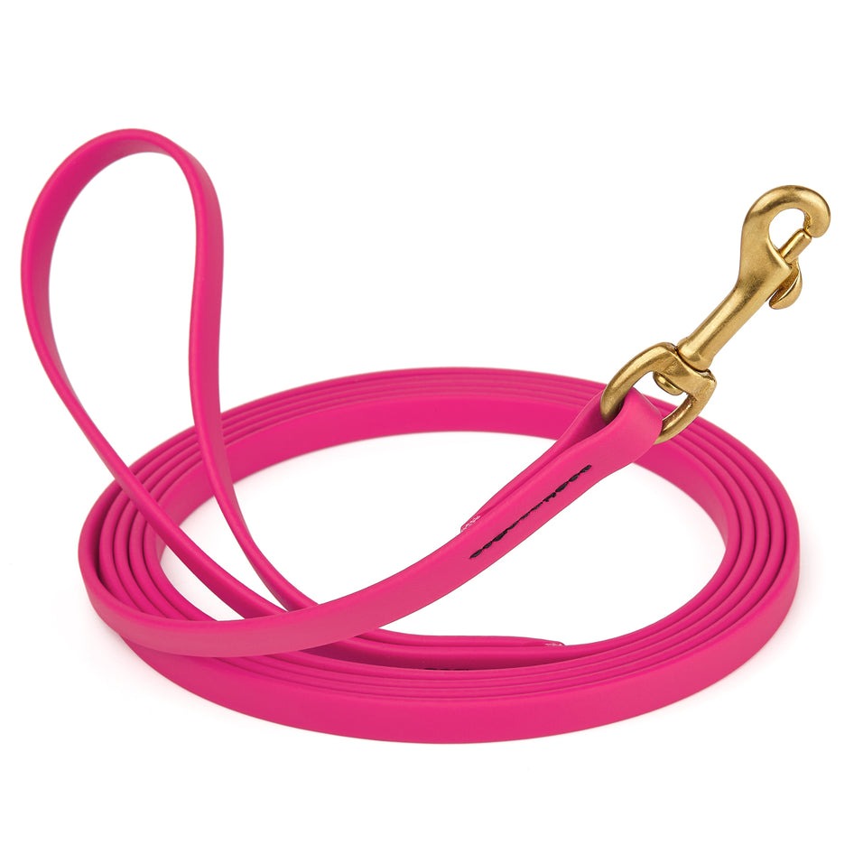 Viper Biothane 10 ft Long Line Lead