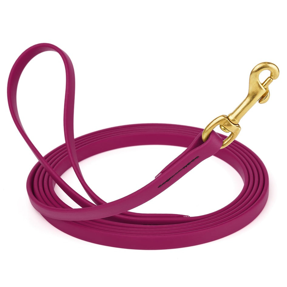 Viper Biothane 10 ft Long Line Lead