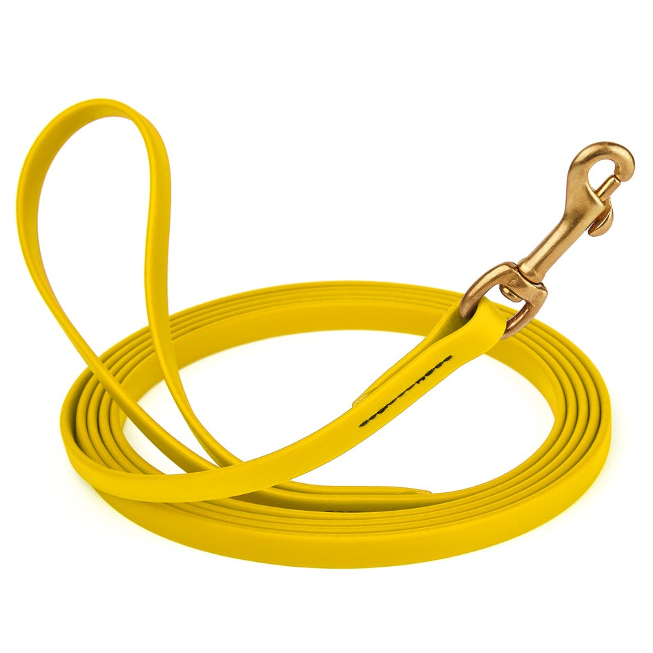 Viper Biothane 10 ft Long Line Lead