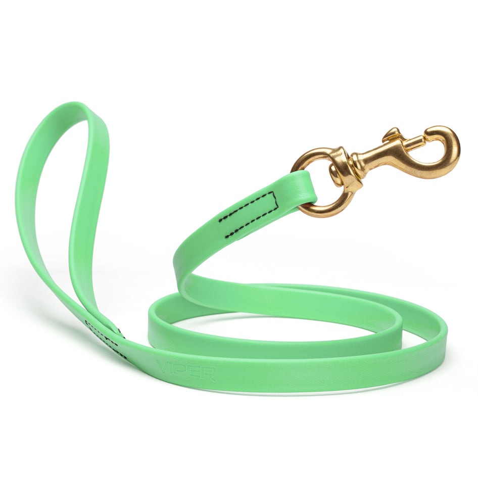 Viper Biothane 6 ft Working Lead