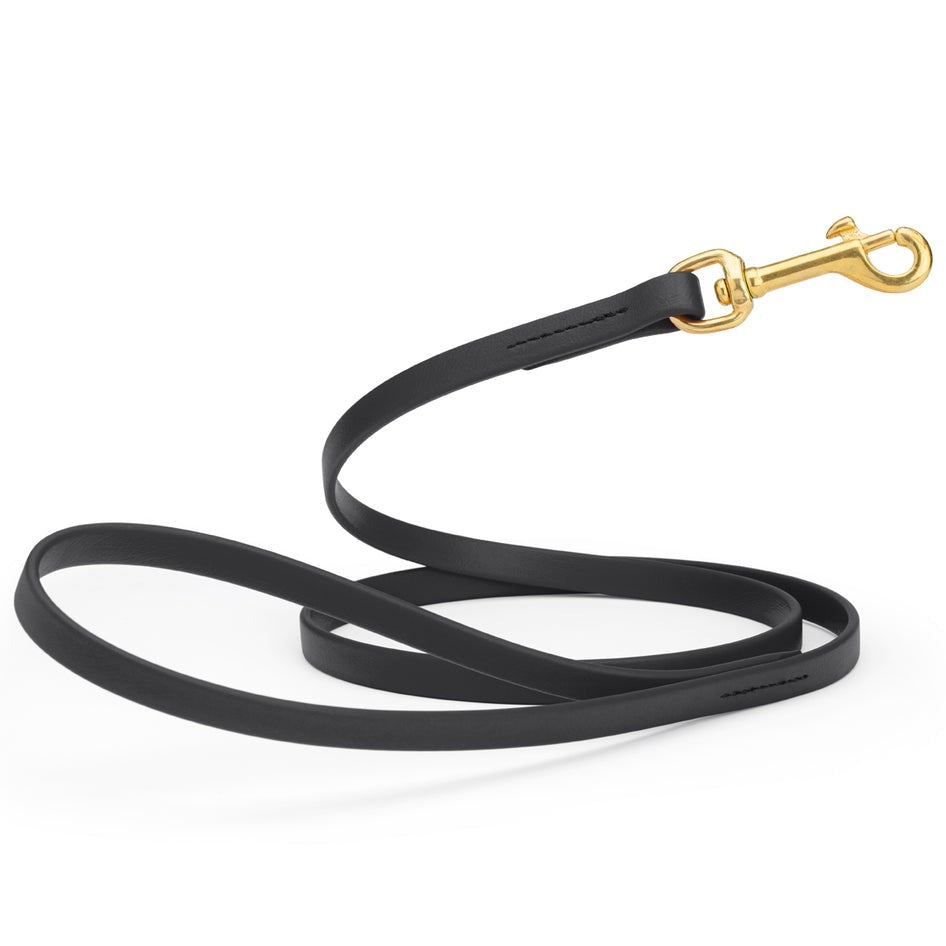 Viper Biothane 6 ft Working Lead