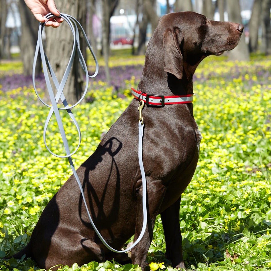 Viper Biothane 6 ft Working Lead